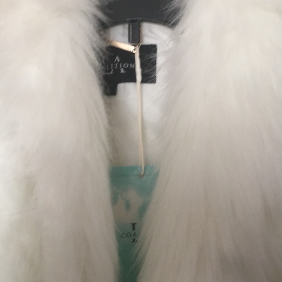 Vest - Picture 4 of 5